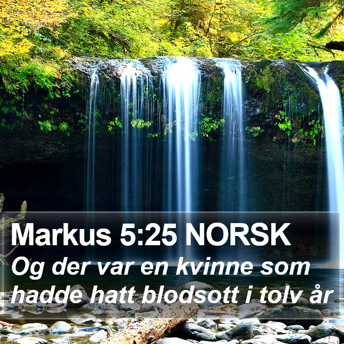 Markus 5:25 NORSK Bible Study