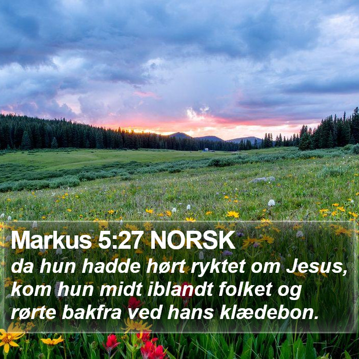 Markus 5:27 NORSK Bible Study