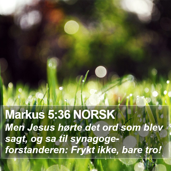 Markus 5:36 NORSK Bible Study