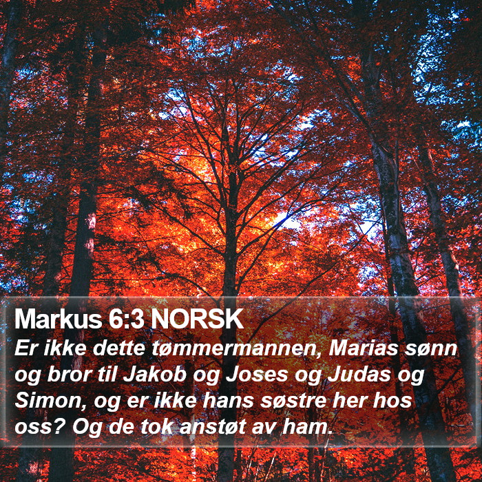 Markus 6:3 NORSK Bible Study