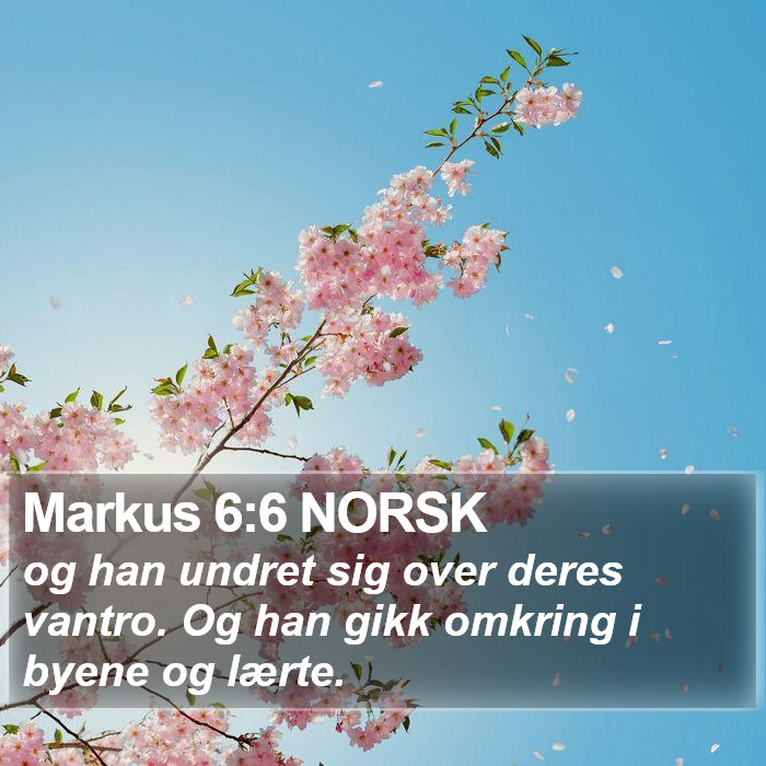Markus 6:6 NORSK Bible Study
