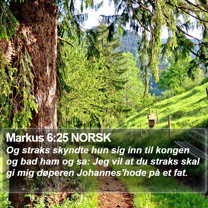 Markus 6:25 NORSK Bible Study