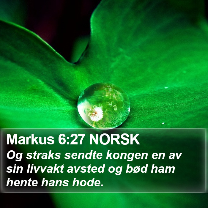 Markus 6:27 NORSK Bible Study