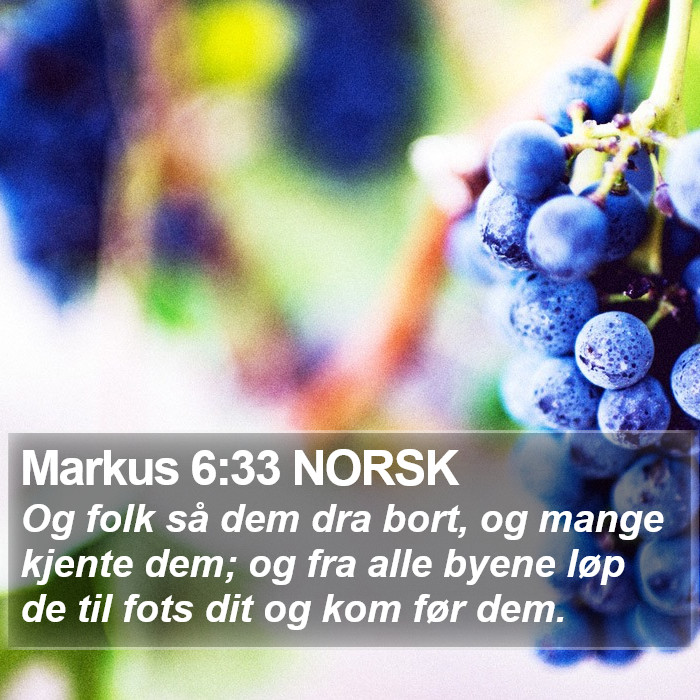 Markus 6:33 NORSK Bible Study