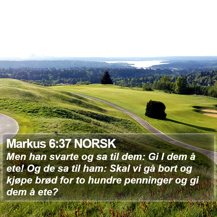 Markus 6:37 NORSK Bible Study