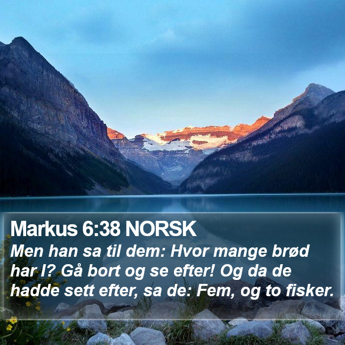 Markus 6:38 NORSK Bible Study