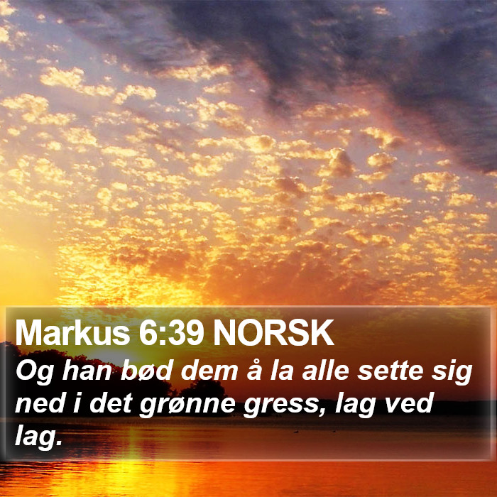 Markus 6:39 NORSK Bible Study