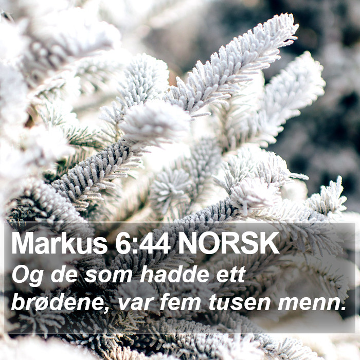Markus 6:44 NORSK Bible Study