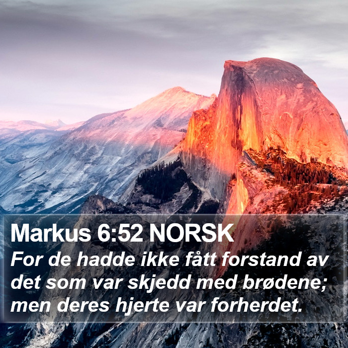 Markus 6:52 NORSK Bible Study