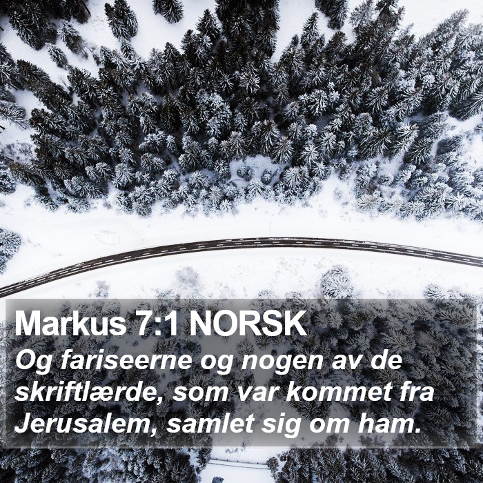 Markus 7:1 NORSK Bible Study