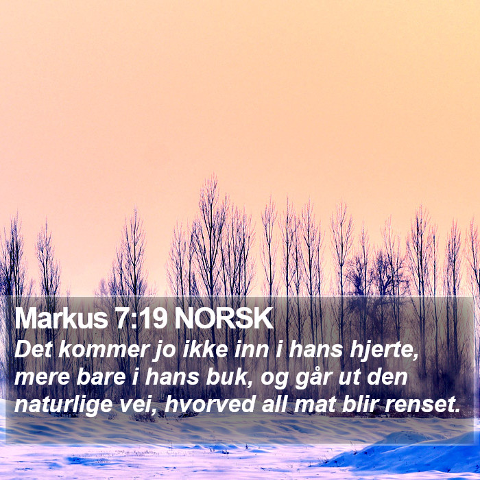 Markus 7:19 NORSK Bible Study