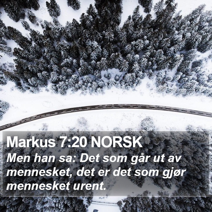 Markus 7:20 NORSK Bible Study