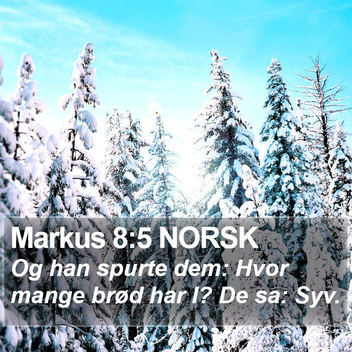 Markus 8:5 NORSK Bible Study