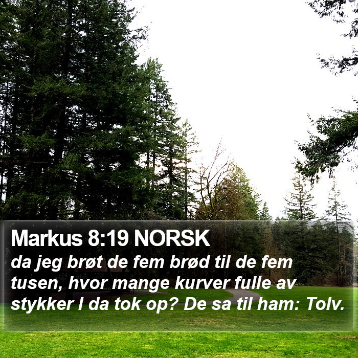 Markus 8:19 NORSK Bible Study