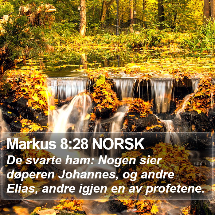 Markus 8:28 NORSK Bible Study