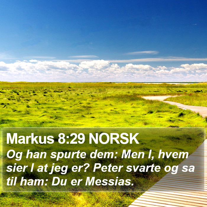 Markus 8:29 NORSK Bible Study