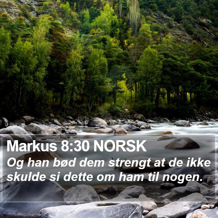 Markus 8:30 NORSK Bible Study