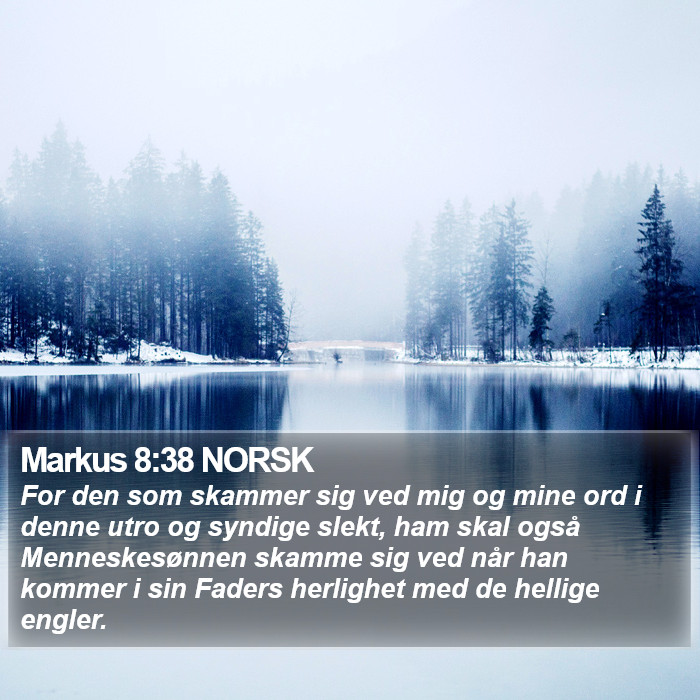 Markus 8:38 NORSK Bible Study