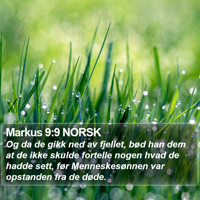 Markus 9:9 NORSK Bible Study