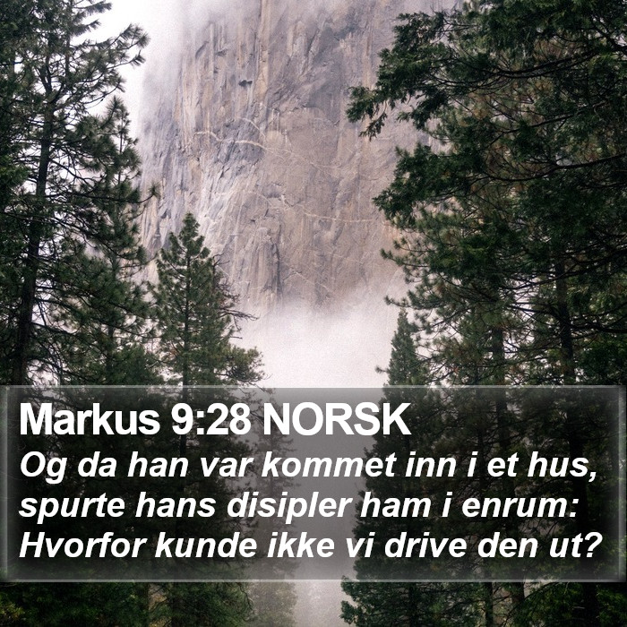 Markus 9:28 NORSK Bible Study