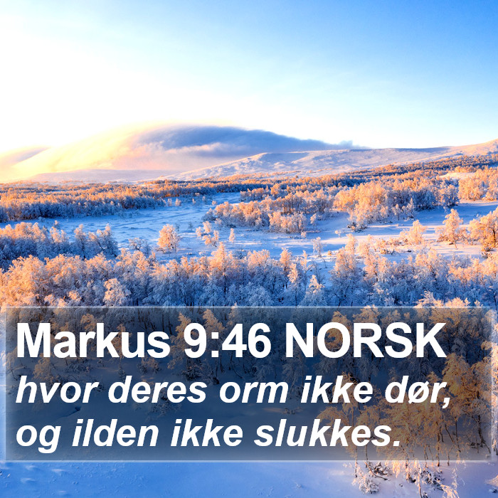 Markus 9:46 NORSK Bible Study