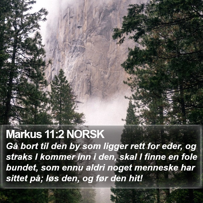 Markus 11:2 NORSK Bible Study