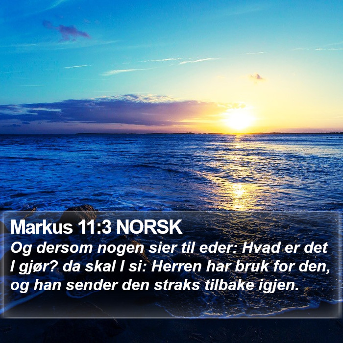 Markus 11:3 NORSK Bible Study