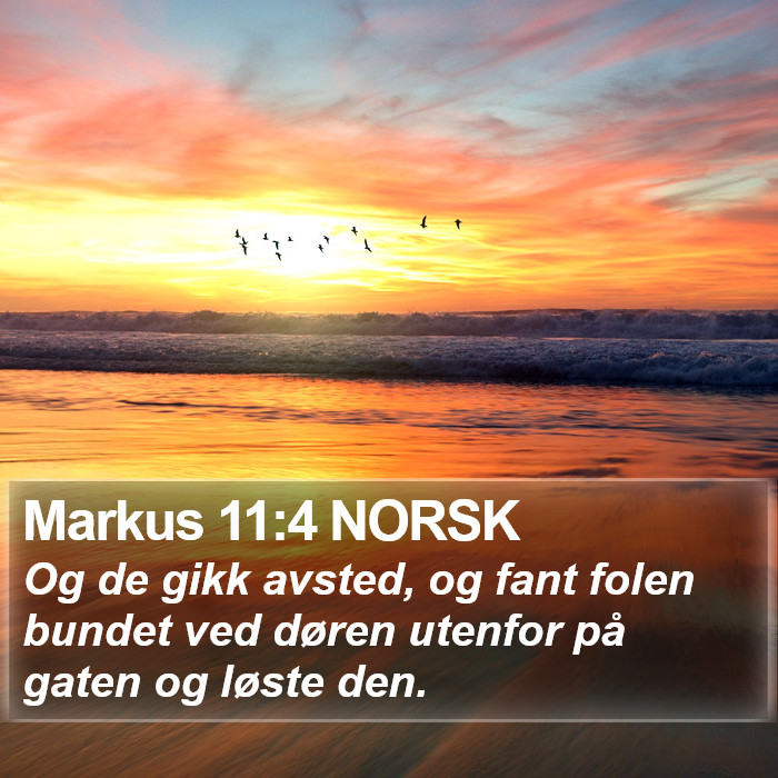 Markus 11:4 NORSK Bible Study