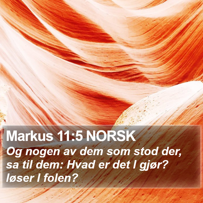 Markus 11:5 NORSK Bible Study