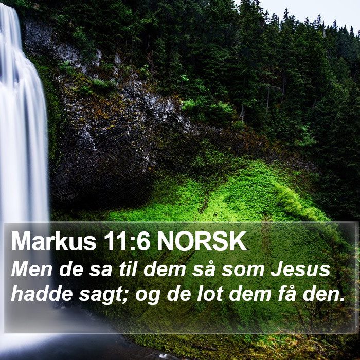Markus 11:6 NORSK Bible Study