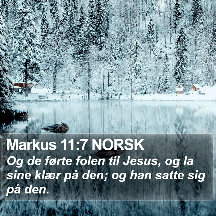 Markus 11:7 NORSK Bible Study