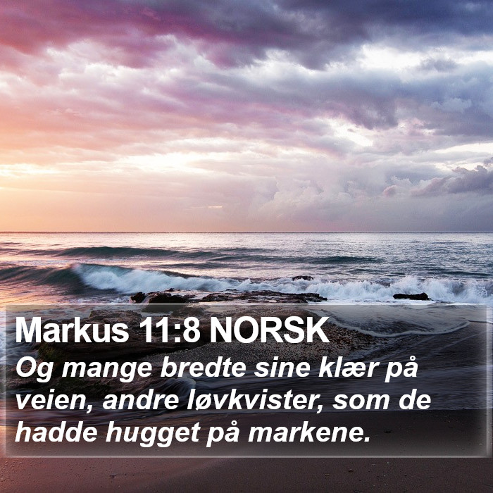 Markus 11:8 NORSK Bible Study