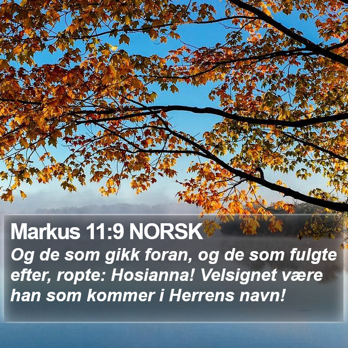 Markus 11:9 NORSK Bible Study