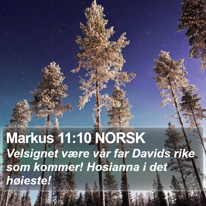 Markus 11:10 NORSK Bible Study