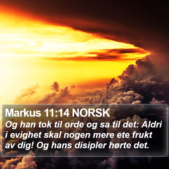 Markus 11:14 NORSK Bible Study