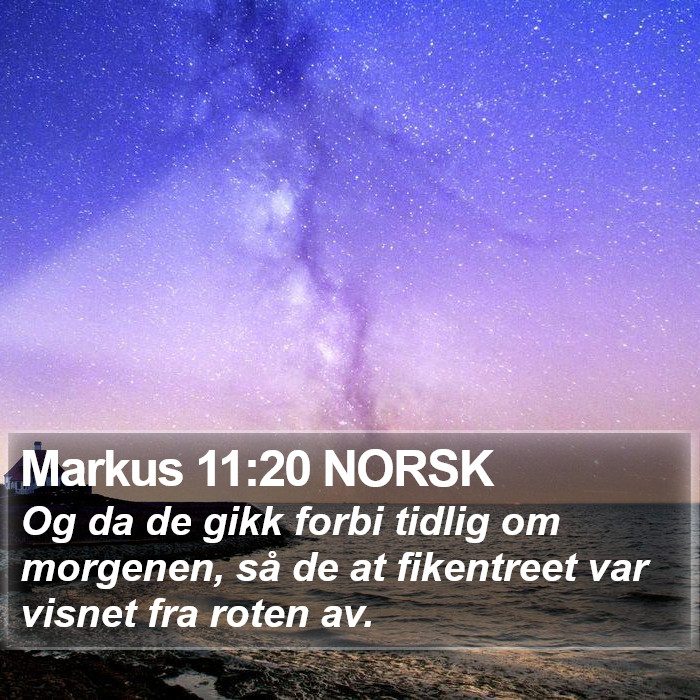 Markus 11:20 NORSK Bible Study
