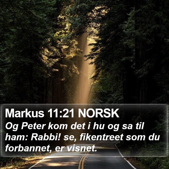 Markus 11:21 NORSK Bible Study