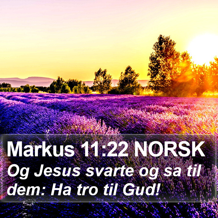 Markus 11:22 NORSK Bible Study