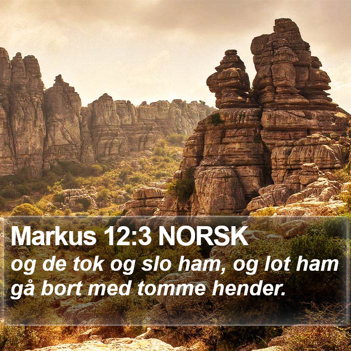 Markus 12:3 NORSK Bible Study