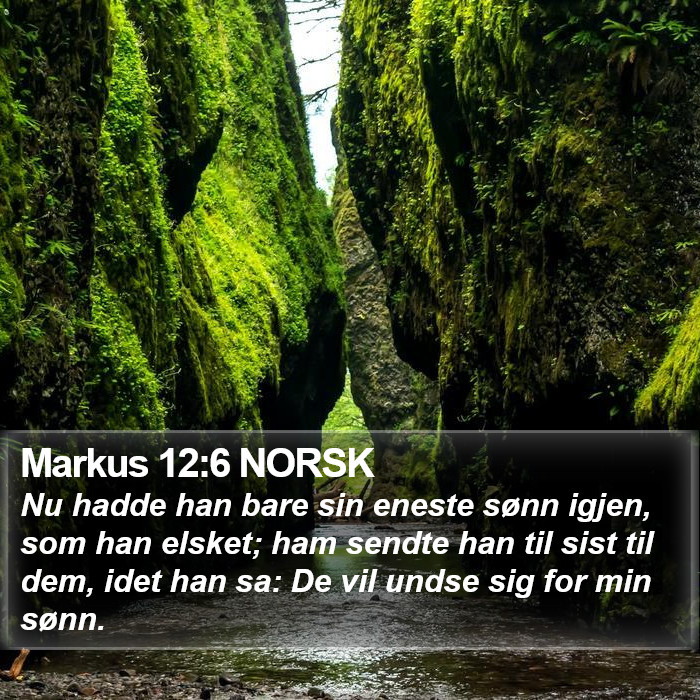 Markus 12:6 NORSK Bible Study