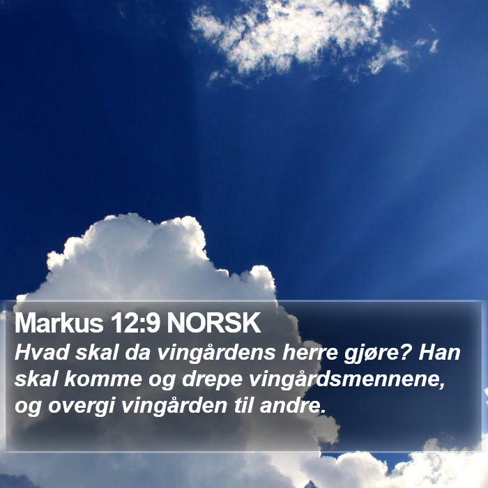 Markus 12:9 NORSK Bible Study