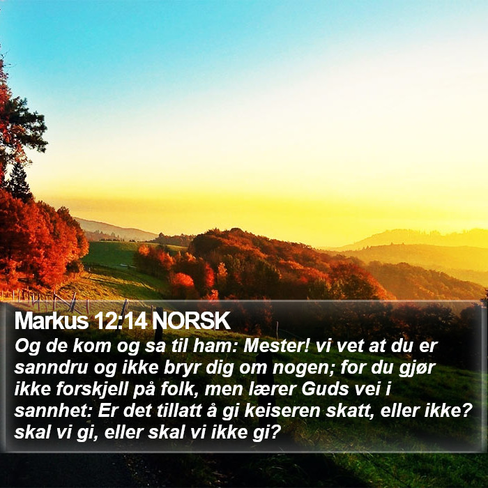 Markus 12:14 NORSK Bible Study