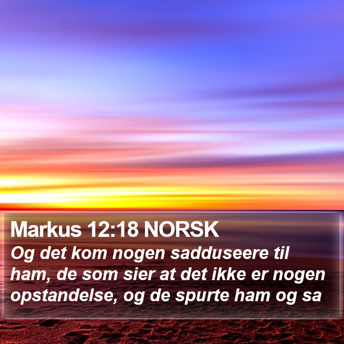 Markus 12:18 NORSK Bible Study