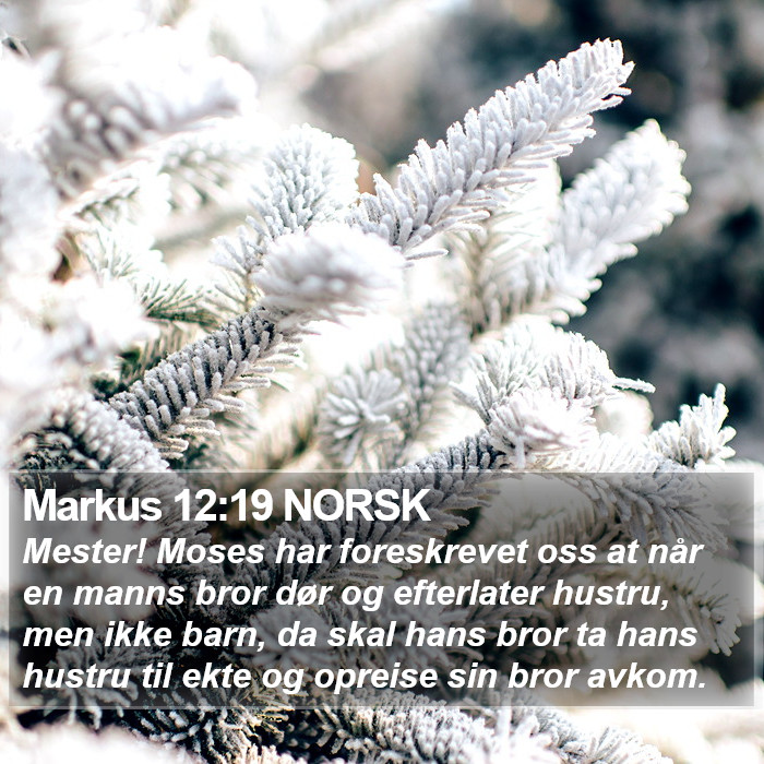 Markus 12:19 NORSK Bible Study