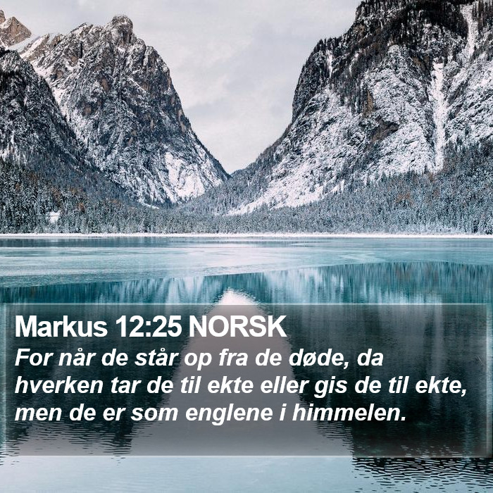 Markus 12:25 NORSK Bible Study