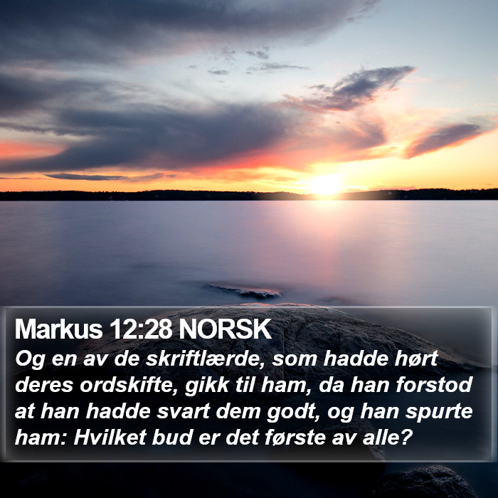 Markus 12:28 NORSK Bible Study