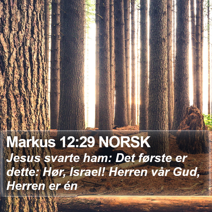 Markus 12:29 NORSK Bible Study