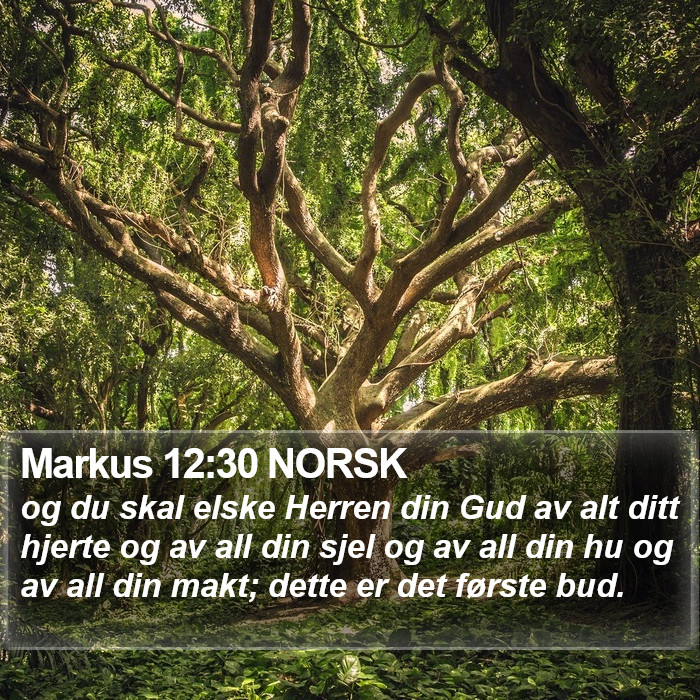 Markus 12:30 NORSK Bible Study