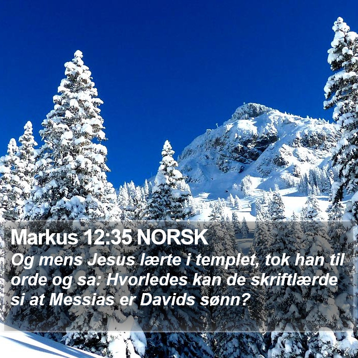 Markus 12:35 NORSK Bible Study