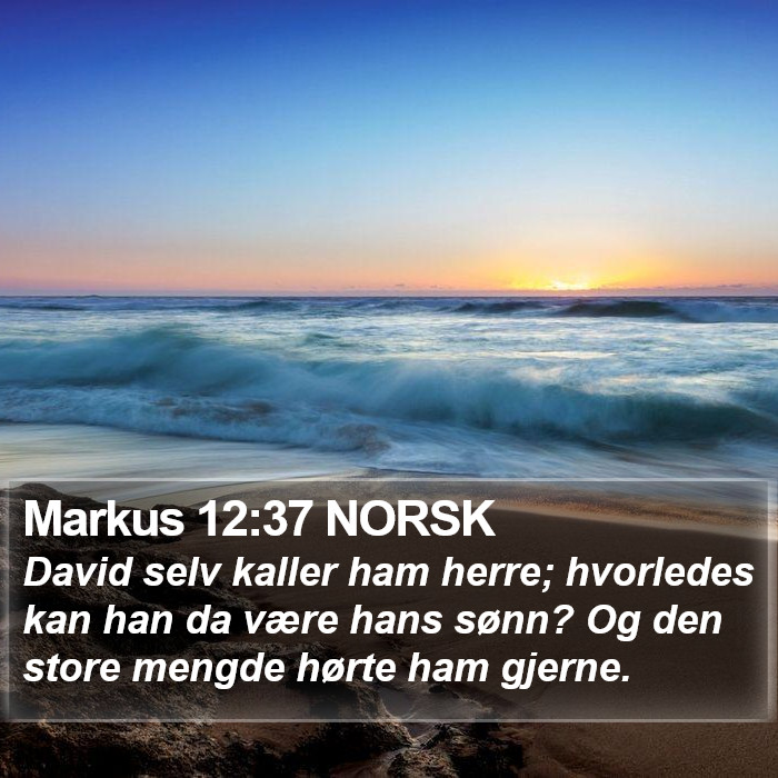 Markus 12:37 NORSK Bible Study